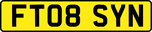 FT08SYN