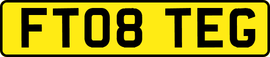 FT08TEG
