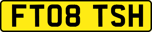 FT08TSH