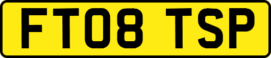 FT08TSP