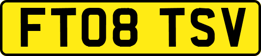 FT08TSV