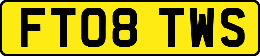 FT08TWS