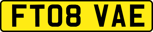FT08VAE