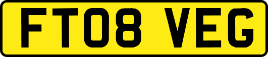 FT08VEG
