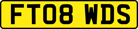 FT08WDS
