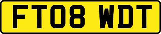 FT08WDT