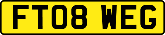 FT08WEG