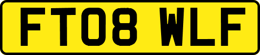 FT08WLF