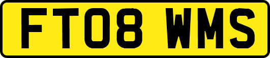 FT08WMS