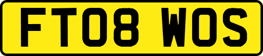FT08WOS