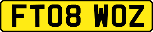 FT08WOZ