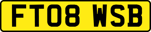 FT08WSB