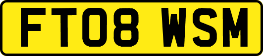 FT08WSM