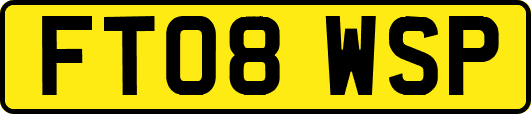 FT08WSP