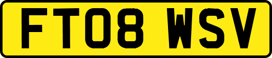 FT08WSV