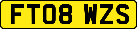 FT08WZS