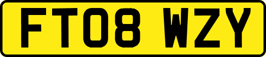 FT08WZY