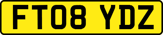 FT08YDZ