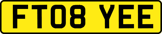 FT08YEE