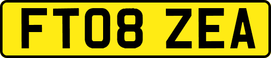 FT08ZEA