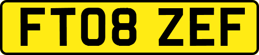 FT08ZEF