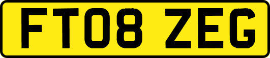 FT08ZEG
