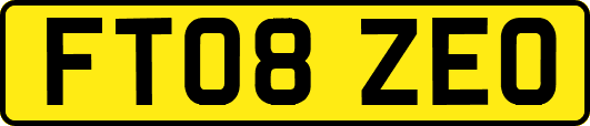 FT08ZEO