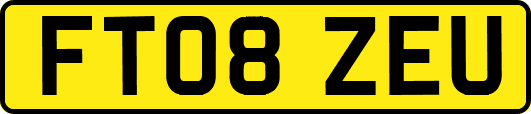 FT08ZEU