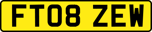FT08ZEW