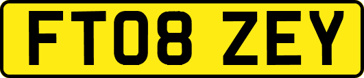 FT08ZEY