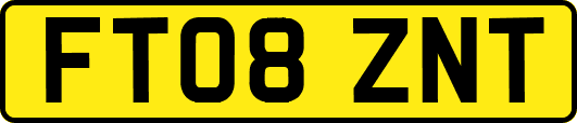 FT08ZNT