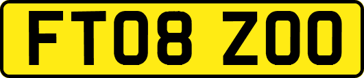 FT08ZOO