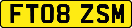 FT08ZSM
