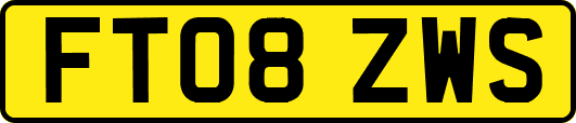 FT08ZWS