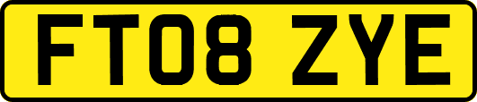 FT08ZYE