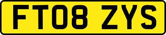 FT08ZYS
