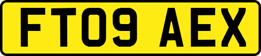 FT09AEX