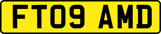 FT09AMD