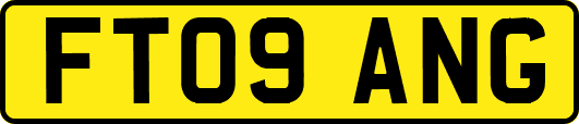 FT09ANG