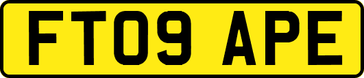 FT09APE