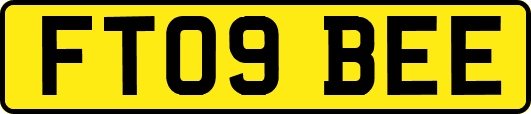 FT09BEE