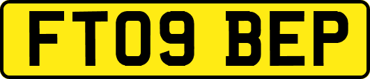 FT09BEP