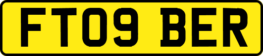 FT09BER