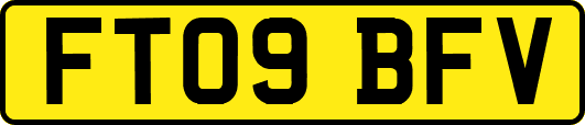 FT09BFV