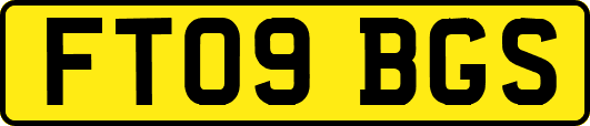 FT09BGS