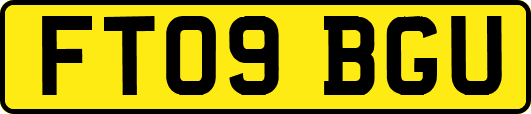 FT09BGU