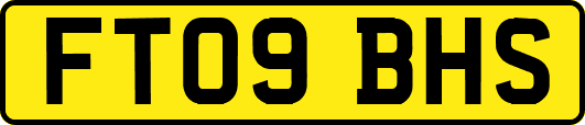 FT09BHS
