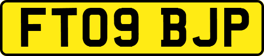 FT09BJP