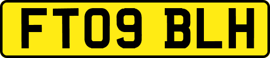 FT09BLH