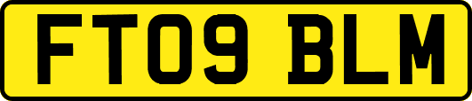 FT09BLM
